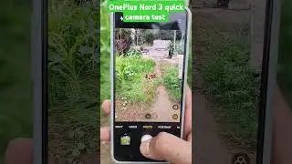 OnePlus Nord 3 camera test| OnePlus Nord 3 camera|#oneplus #tranding #tech #shorts #viralshorts