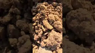 POV Augur Drill Bit Drilling House Footings