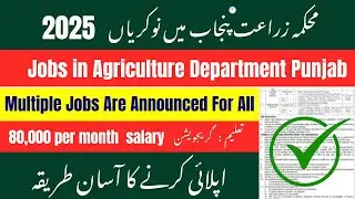 🌾 Deputy Director Agriculture Jobs 2025 | Latest Govt Careers, Eligibility & Apply Online &ndash; Jobsscho