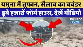 Delhi Flood Alert: यमुना का विकराल रूप, हजारों फॉर्म हाउस | Yamuna River | Heavy Rain in Delhi|Viral