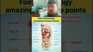 foot reflexology #TherapistworldclubDoctor #Dr.opsingh_acupointsHajipur #foryou #foot #reflexology