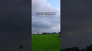 SingiDiRangilaNela#JanapadaGeethalu #FolkMagic #ManaPalle#TraditionVibes  #CountrysideChronicles-s4n
