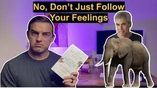 Haidt's Elephant Makes No Sense