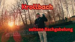 Krollbach ( Bifurkation) Hövelhof,regionales laufen. Natur pur