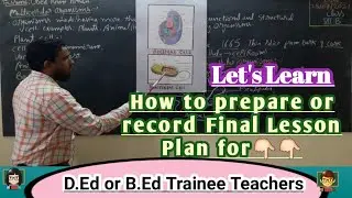 B.Ed final lesson Plan of Science || B.Ed lesson Plan.