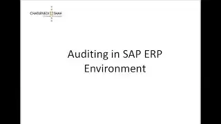 Detailed Training on Auditing in SAP ERP Environment