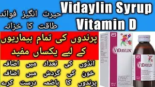 Vidaylin Benefits For Birds | Calcium For Birds | Minerals For Birds And Iron For Birds | Urdu