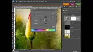 Editing 1-0-1 in (Adobe&reg;) - Creative Suite, Photoshop, Elements, Lightroom, (Microsoft) - Paintshop,