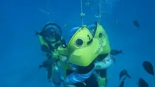 UCABS Malta Experience