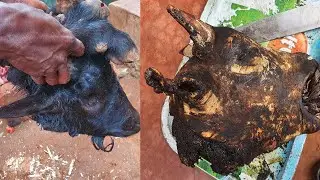 GOAT HEAD  & LEGS CURRY | Tasty Goat Head And Legs Cooked In Pot