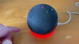 How to Mute Amazon Echo with Alexa from Listening