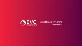 EVC - Emergency Vet Care