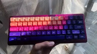 Review JTK HSA RAYS