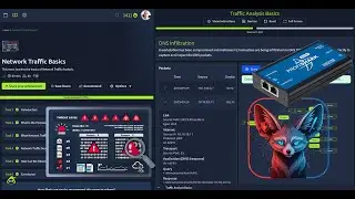 Основы сетевого трафика TryHackMe &mdash; полное пошаговое руководство 2025