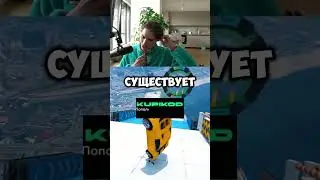 Nix: ПРАВИН ПРО САМЫЙ ЛУЧШИЙ МОНИТОР + ПРИМЕР  #shorts  #никс #dota2 #nixdota2 #dota #nix