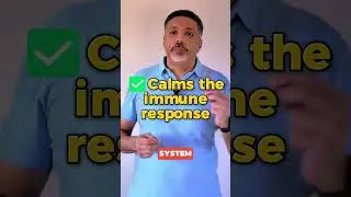 If Your Dog Has IBD, This Is Why Nothing You&rsquo;ve Tried Has Worked