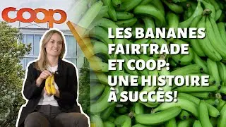 Commerce &eacute;quitable pour les bananes: l'engagement de Coop