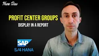 How to Display a Profit Center Group in a report: SAP S4/HANA