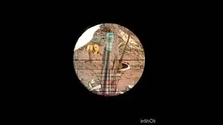 apenas observa&ccedil;&atilde;o cotia na ceva de  Minho e soja #hunting #pcphunters #animais #carabinapcp 💥