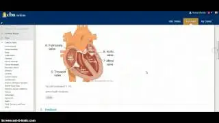 Hot Spot Test Item How-To Video