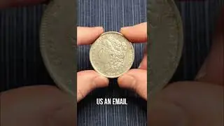 Morgan Dollar 1882: Cleaned or Circulated? Coin Appraisal