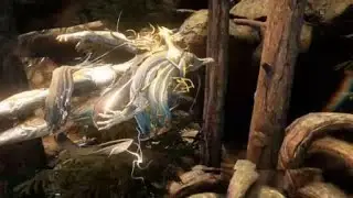 Warframe : Drifter's camp 