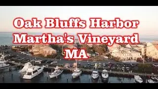 Oak Bluffs Harbor - Martha's Vineyard, MA - Drone