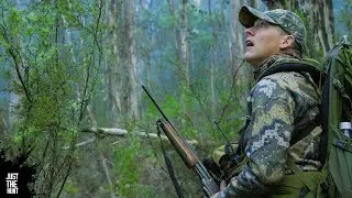 Собаки чувствуют запах крови | Just the Hunt