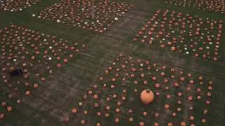 EZ Orchards HarvestFest