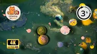 Calm your Mind and Relieve Stress | 3 hours of Music for Deep Meditation with Hypnotizing Visuals
