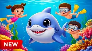 Baby Shark Dance | Little Starfish Dance | New Nursery Rhyme for Kids