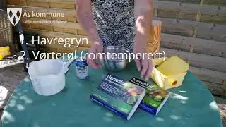 Hvordan bekjempe snegler i hagen din