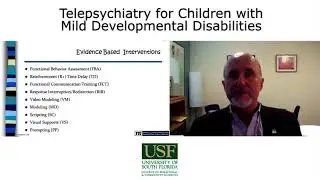 Webinar - Telepsychiatry for Children with Mild Developmental Disabilities Treated in Primary Care