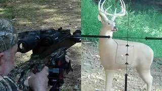 Excalibur Micro 340 TD at 35 yards