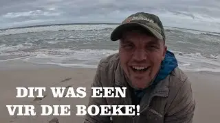 DIE HAAIE HET MY AMPER GEBREEK VANDAG !