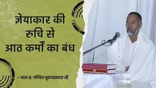 #246. अनंतानुबंधी चार कषाय और नौ नोकषाय का स्वरूप | श्री कु. सा. वसदि, शिखर जी, सुबह. 09.01