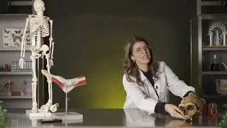 Video - Museo di Storia della Medicina in Padova