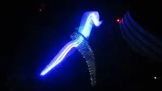 A mesmerizing LED Dragonfly Light Display at Waterloo Park.