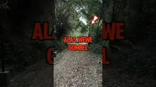 Serem‼️Sosok hantu wewe gombel sering meminta tumb4L anak kecil #shortvideo