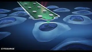 Direct intra nuclear injection with fluidFM