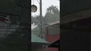 #DantePH