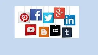 Best Seo Company in Florida