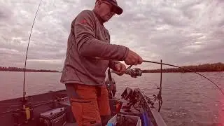 snoek op de Amer