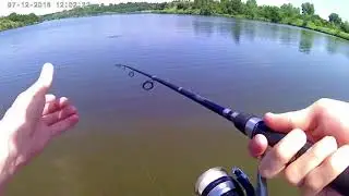 I got catfished while fishing!