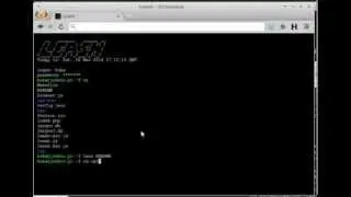 Leash - Browser Shell Session