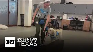 Lonestar learns new commands, trains with new objects