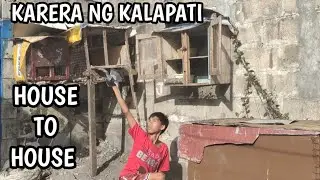 KARERA NG KALAPATI HOUSE TO HOUSE ANG LABANAN NG MGA BATANG FANCIER!