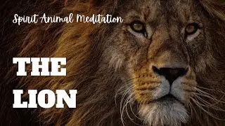 Lion Spirit Animal Meditation: 20-Minute Soundscape for Courage & Leadership