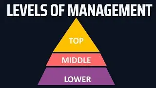 Levels of Management | Top Level Management | Middle Level Management | Lower Level Management
