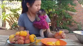Sweet Mom And  Monkey  Janny , Mom preparing fruit eat with Monkey  Janny
